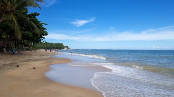 Praia Espelho Plajı Manzarası Brezilya Nın Kuzeydoğusundaki Ünlü Bir Turizm — Stok video