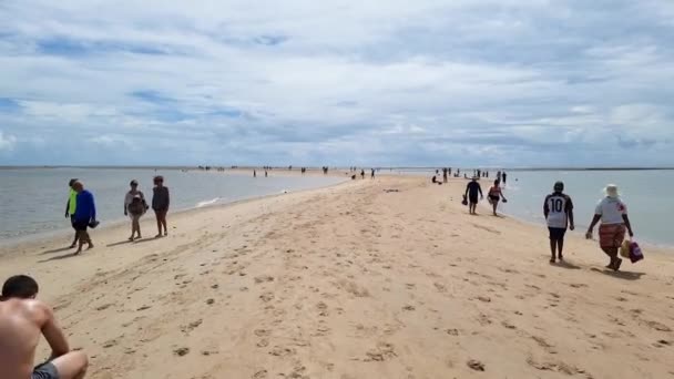 Santa Cruz Cabralia Brazil January 2023 Walking Path Moses Sand — Stock Video