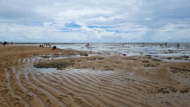 Coroa Vermelha Plajının Mercan Manzarası Bahia Eyaletinin Turizm Beldesi Santa — Stok video