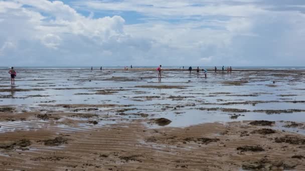 Vista Dos Corais Praia Coroa Vermelha Destino Turístico Estado Bahia — Vídeo de Stock