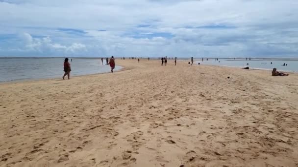 モーゼの道を歩く コロアVermelhaビーチの海の真ん中にある砂州 サンタ クルス カブラリア バイア ブラジル — ストック動画
