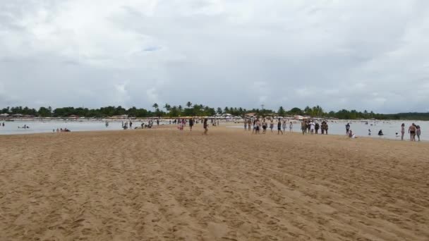 Santa Cruz Cabralia Brazylia Stycznia 2023 Piaskownica Środku Morza Plaży — Wideo stockowe