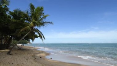View of Praia Do Espelho beach, a famous tourist destination of Caraiva, the coast of the Brazilian northeast. Porto Seguro - Bahia, Brazil.