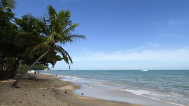 Vista Playa Praia Espelho Famoso Destino Turístico Caraiva Costa Del — Vídeo de stock