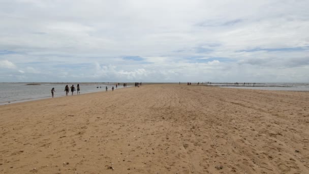 Sandbank Medio Del Mar Playa Coroa Vermelha Destino Turístico Del — Vídeos de Stock
