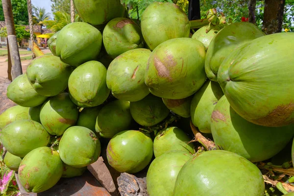 Haufen Grüner Kokosnüsse Kokosnüsse Zum Verkauf Bereit Kokoswasser Erfrischendes Tropisches — Stockfoto