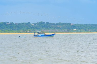Küçük balıkçı teknesi denizin ortasında kıyıya yakın bir yerde, üzerinde martılar uçuşuyordu. Coroa Vermelha plaj manzarası, Santa Cruz Cabralia - Bahia, Brezilya.