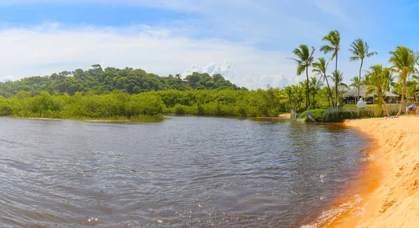 ブラジル バイーア州のポルト セグロ地区 トランソソの風景 トランソソ川の水がプライア ナティヴォスビーチの砂を満たす場所 — ストック写真