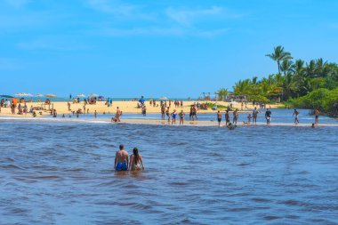 Brezilya 'nın Bahia eyaletinin güzel plajları Coqueiros Sahili manzaralı Nativos Plajı' nda turizm. Fotoğraf Trancoso 'da çekildi.