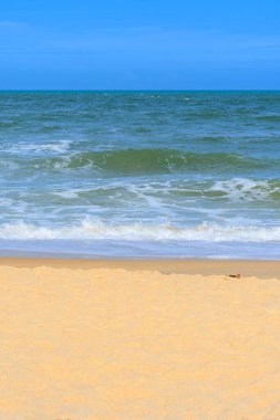 Brezilya 'nın kuzeydoğu plajı, Trancoso, Nativos Sahili, Porto Seguro - Bahia Eyaleti. Yaz boyunca tropik Brezilya plajı.
