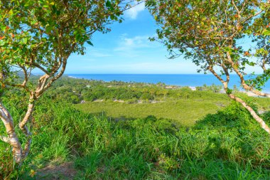 Porto Seguro bölgesi, Trancoso 'nun güzel doğa manzarası. Nativos Sahili, Bahia Eyaleti, Brezilya. 