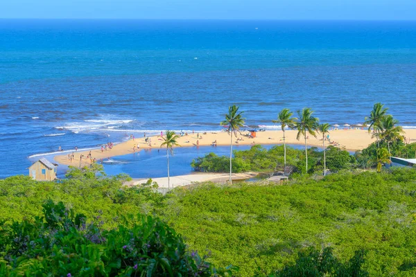 Pemandangan Udara Pantai Coqueiros Pantai Yang Indah Negara Bagian Bahia Stok Gambar