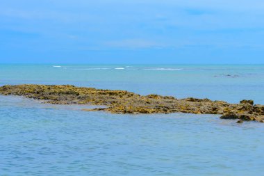Espelho Sahili 'nin kayalık kayalıklarının manzarası Porto Seguro, Bahia Eyaleti, Brezilya' nın güzel bir manzarası..