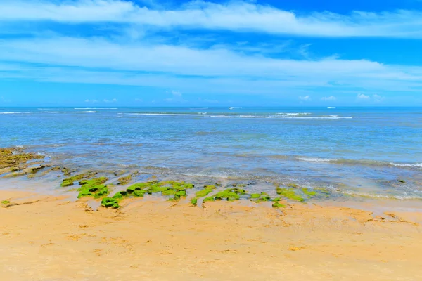 Paisagem Praia Espelho Uma Beleza Tropical Costa Brasileira Estado Bahia — Fotografia de Stock