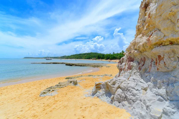 Lanskap Pantai Espelho Keindahan Alam Pantai Brasil Negara Bagian Bahia Stok Lukisan  
