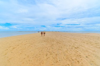 Coroa Vermelha plajının kumlu yolu, Santa Cruz Cabralia şehrindeki Bahia eyaletinin turistik bölgesi.. 
