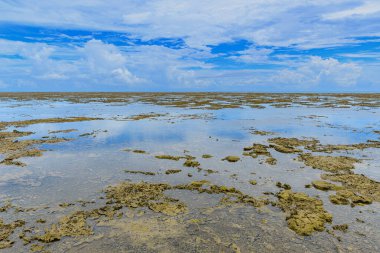 Brezilya 'nın Santa Cruz Cabralia kentindeki Bahia eyaletinin turizm beldesi Coroa Vermelha plajındaki resiflerden manzara. 