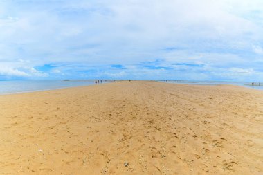 Coroa Vermelha plajının kumlu yolu, Santa Cruz Cabralia şehrindeki Bahia eyaletinin turistik bölgesi.. 