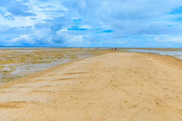 Вид Песчаную Тропу Пляжа Короа Вермелья Туристического Направления Штата Бахия — стоковое фото