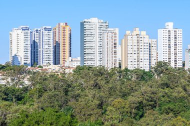 Geniş yeşil ağaçların arkasındaki yüksek binalar. Yeşil şehir konsepti. Fotoğraf Sao Paulo - SP, Brezilya.