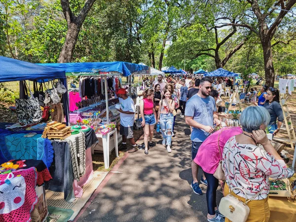 Campo Grande, MS, Brezilya - 18 Eylül 2022: Bosque da Paz Meydanı 'ndaki kültür fuarındaki insanlar. Fuarda el işi, yiyecek ve yerel ürünler satan dükkanlar..