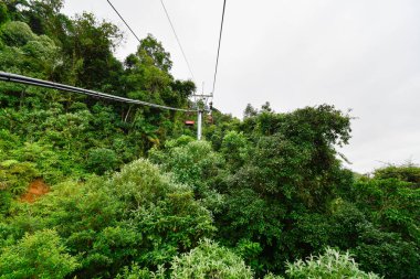 Ağaçların arasından geçen bir teleferik görüntüsü. Fotoğraf Sao Vicente 'de çekildi - SP, Brezilya.