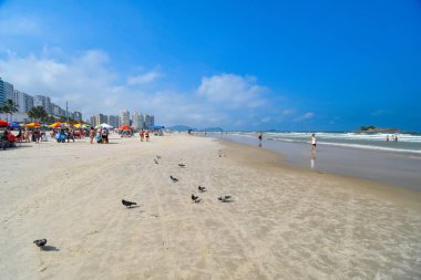 Guaruja, SP, Brezilya - 10 Nisan 2024: Pitangueiras plajında güzel mavi gökyüzü sabahı.