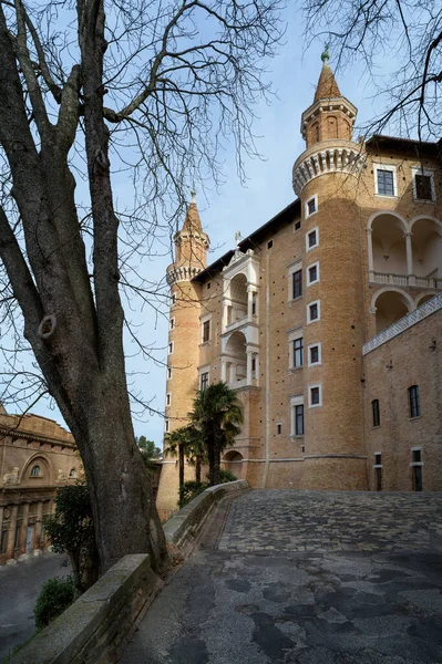 Widok Zewnętrzny Fasady Pałacu Książąt Urbino Włochy Starożytna Rezydencja Podczas — Zdjęcie stockowe