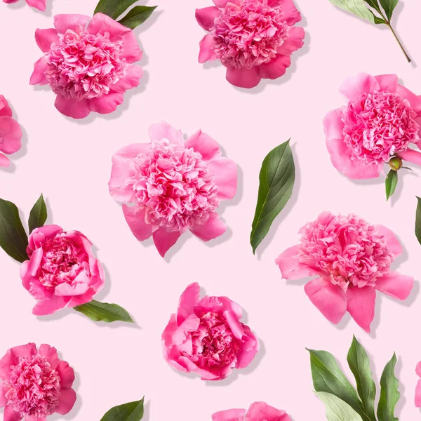 Modèle Sans Couture Fleurs Pivoine Rose Photo Sur Fond Couleur — Photo