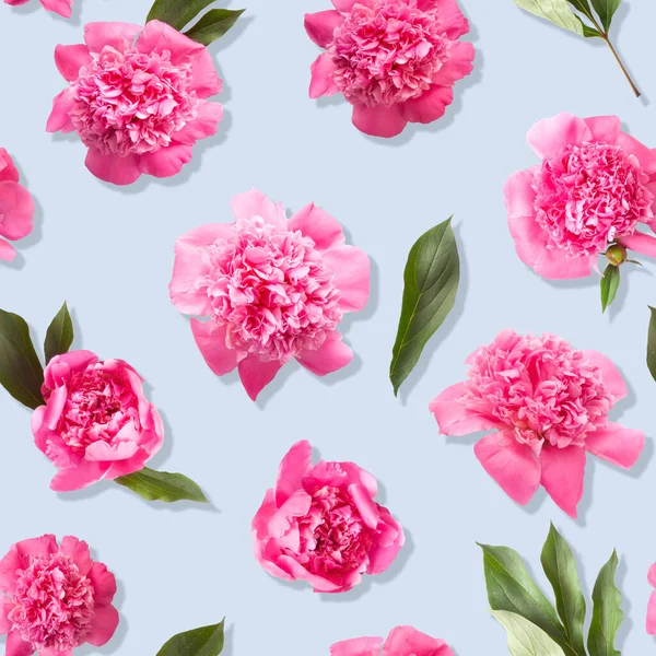 Бесшовный Узор Розовых Пионских Цветов Фото Светло Голубом Фоне Цвета — стоковое фото