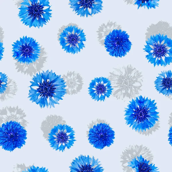 Bezešvé Vzor Modré Chrpy Květiny Stínem Světle Modrém Pozadí — Stock fotografie