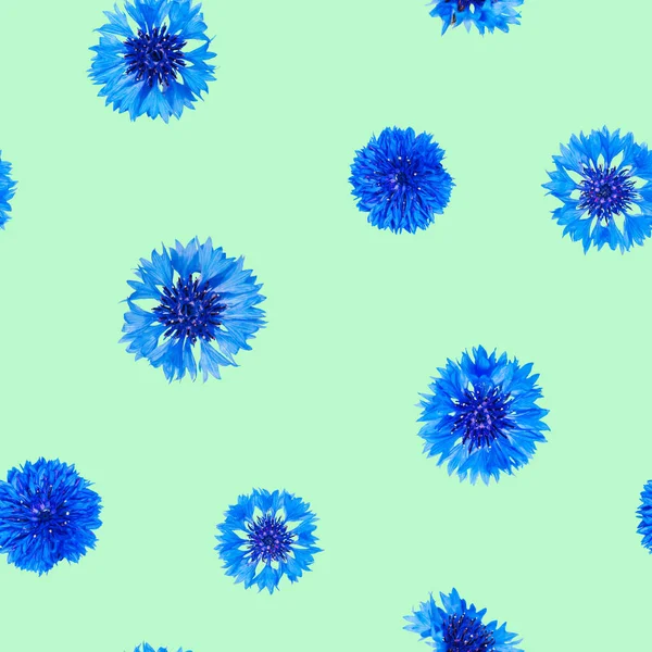 Απρόσκοπτη Μοτίβο Μπλε Λουλούδια Καλαμποκιού Ανοιχτό Πράσινο Φόντο — Φωτογραφία Αρχείου