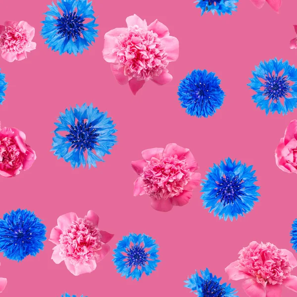 Nahtloses Muster Aus Rosa Pfingstrose Und Blauen Kornblumenblüten Auf Karminrotem Stockbild