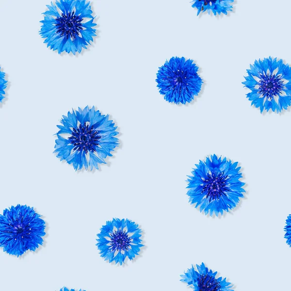 Bezešvé Vzor Květin Kukuřice Světle Modrém Pozadí — Stock fotografie