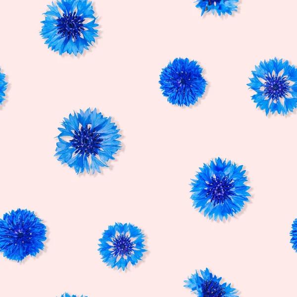 Patrón Sin Costuras Flores Aciano Azul Sobre Fondo Rosa Claro — Foto de Stock