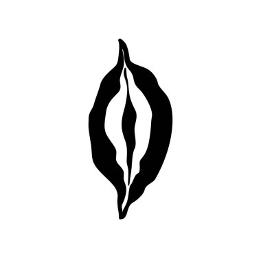 Vagina vector icon in natural shape icon.