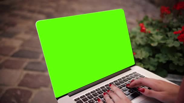 Background Womans Hands Working Green Screen Computer Creative People Can — Αρχείο Βίντεο
