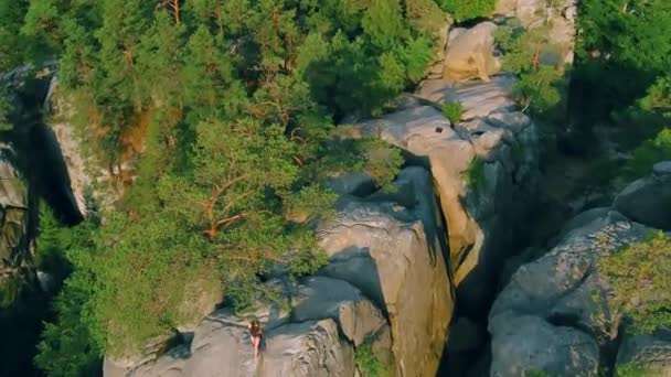 Аерофотозйомка Красива Дика Первісна Жінка Стоїть Тлі Лісу Пір Вплетеними — стокове відео