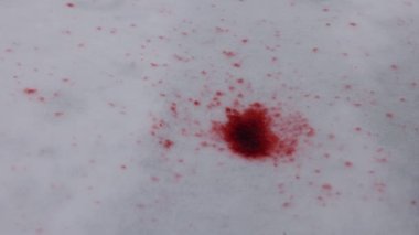 Eriyen kar, eriyen kar, eriyen kan. Canlı kırmızı sıvı karlı yüzeye sızıyor..