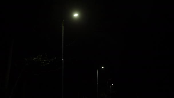 Lampadaires Feux Parc Rangée Lampes Rangée Lampadaires Éclairant Nuit Sur — Video
