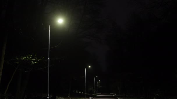 街路灯がオフ ナイトパーク 公園の暗闇 街路灯は公園内の路上で夜間に消灯します — ストック動画