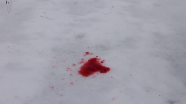 Dripping Fluid Blood Stain Snowy Trauma Blood Red Liquid Dripping — Stock Video