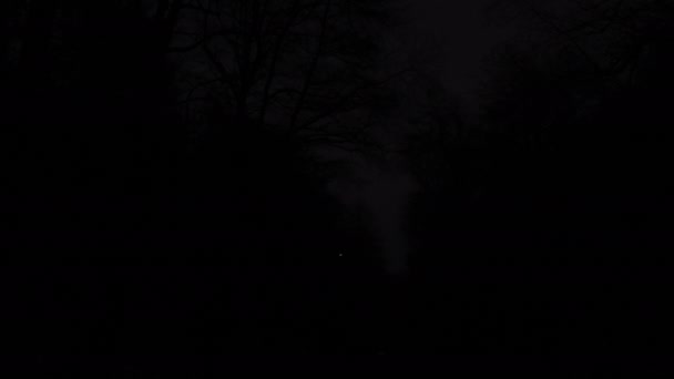 Sokak Lambaları Yanıyor Gece Parkı Park Sokak Lambaları Geceleri Sokak — Stok video