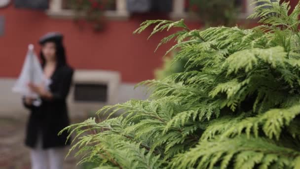 Дождевая Дама Променад Дризли Прогулка Зонтике Женщина Каштановыми Волосами Янтарь — стоковое видео