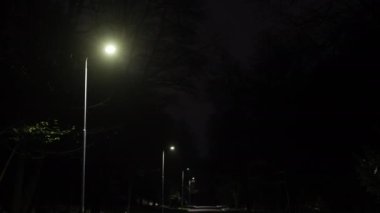 Aydınlık yol, lamba sırası, sokak parıltısı. Park Caddesi 'nde sokak lambaları yanıyor..