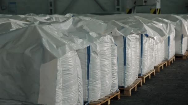 Sacos Brancos Logística Fábrica Segurança Colheita Armazém Fábrica Das Empresas — Vídeo de Stock