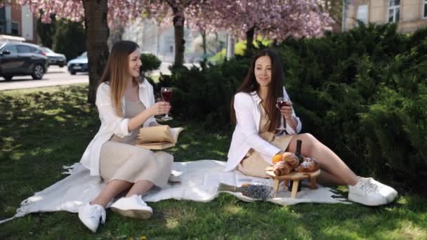 Pikniğin Tadını Çıkarmak Kırmızı Şarap Kadın Pikniği Kız Arkadaş Piknikte — Stok video