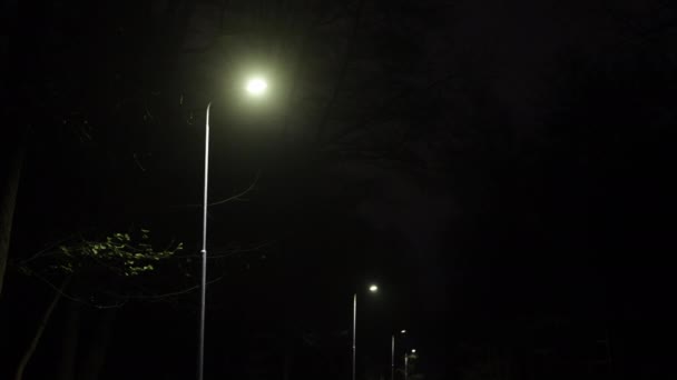 Pouliční Lampy Lampy Lampy Sekvence Osvětlené Pouliční Lampy Noc Parku — Stock video