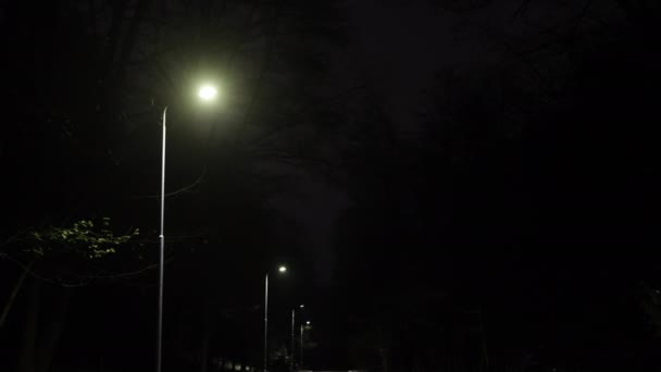 Éjszakai Világítás Kivilágított Park Sugárút Vonal Izzó Utcai Lámpák Éjszakai — Stock videók