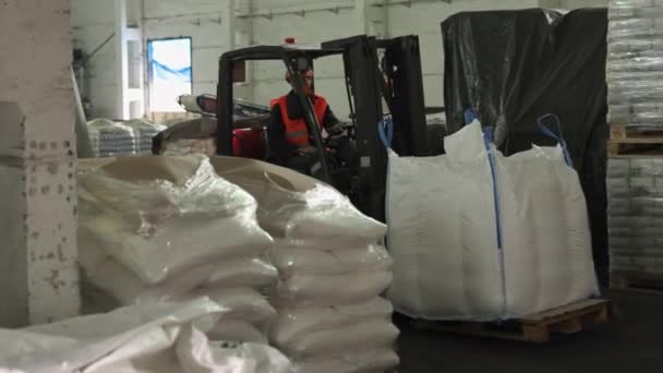 Pallet Handling Cargo Transfer Work Efficiency Pallets Being Rearranged Warehouse — Stock Video